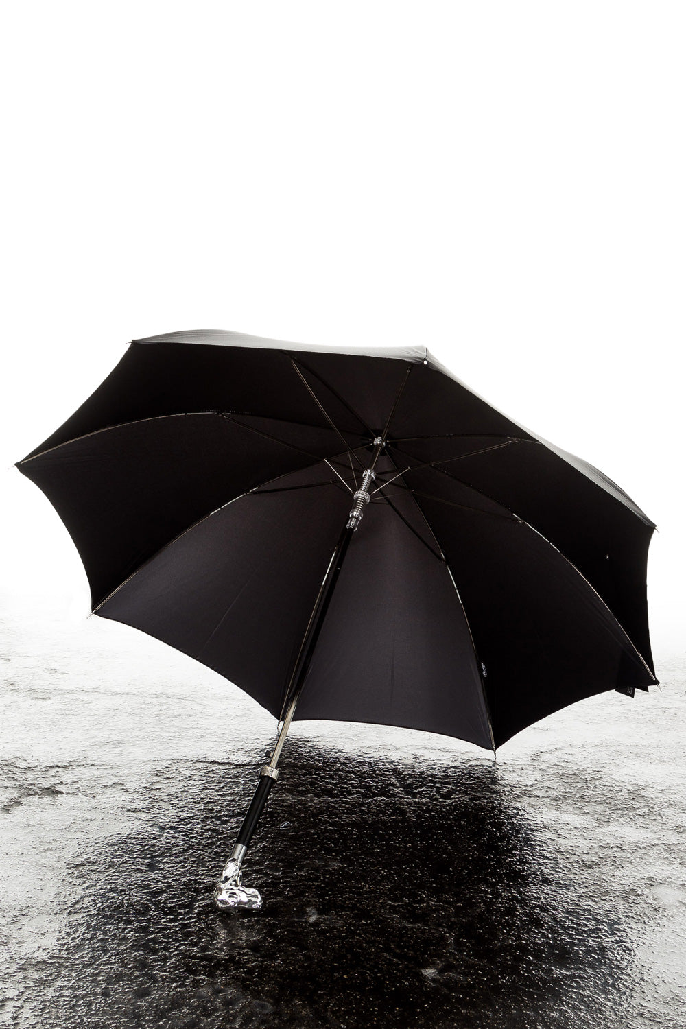 Pasotti Regenschirm mit Hundekopfknauf schwarz