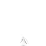 Marsèll Damen Schnürschuhe Mentone weiß