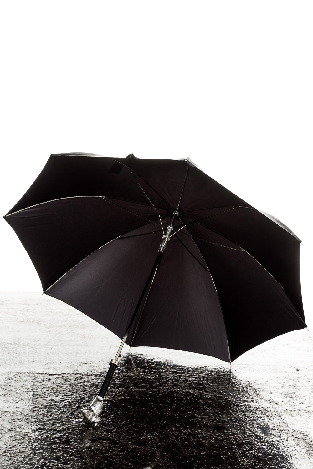 Pasotti Regenschirm mit Stierkopfknauf schwarz